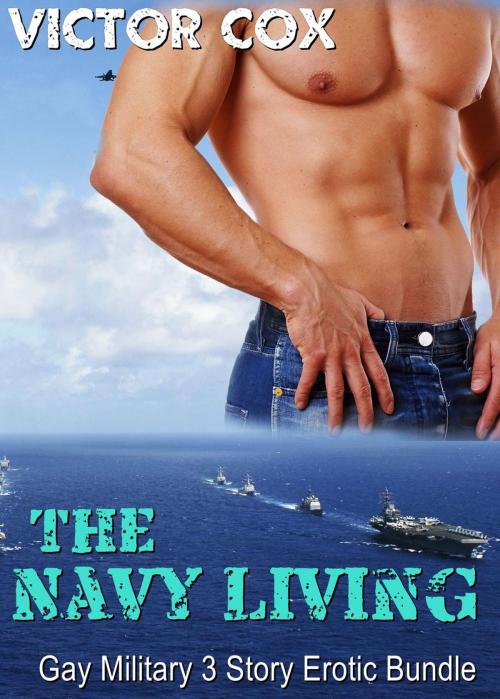Cover of the book The Navy Living by Victor Cox, www.victorcoxbooks.com