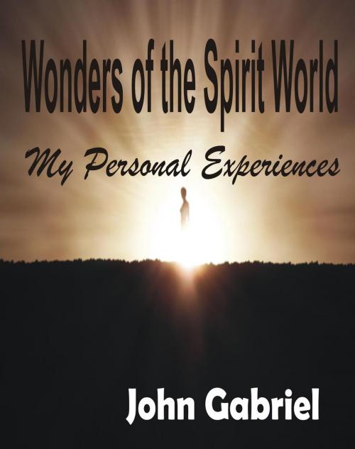 Cover of the book Wonders Of The Spirit World by John Gabriel, john Mc Donald
