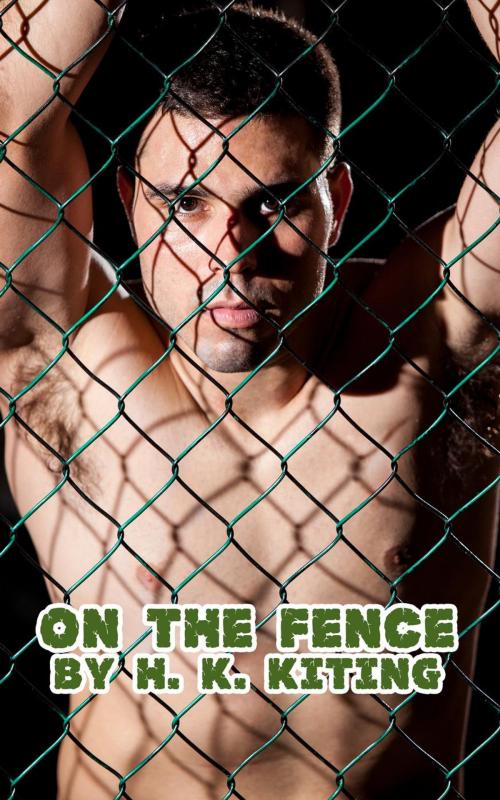 Cover of the book On the Fence by H. K. Kiting, sexyfic.com