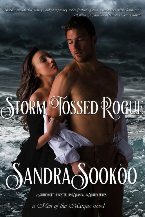 Cover of the book Storm Tossed Rogue by Sandra Sookoo, New Independence Books
