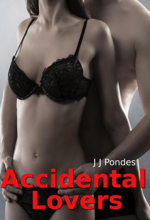 Cover of the book Accidental Lovers by J. J. Pondes, Tales of Flesh Press