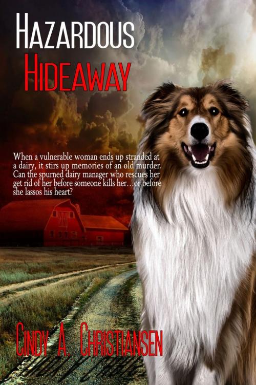 Cover of the book Hazardous Hideaway by Cindy A Christiansen, Dragonfly Spirit Books