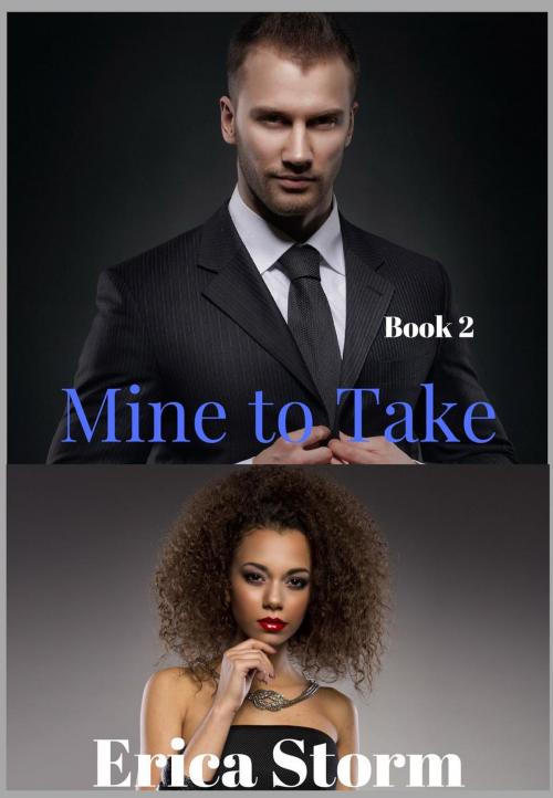 Cover of the book Mine To Take by Erica Storm, Erica Storm