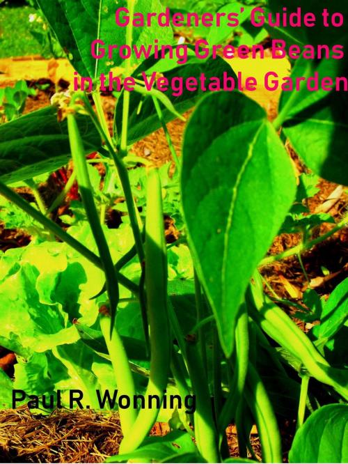 Cover of the book Gardeners’ Guide to Growing Green Beans in the Vegetable Garden by Paul R. Wonning, Mossy Feet Books