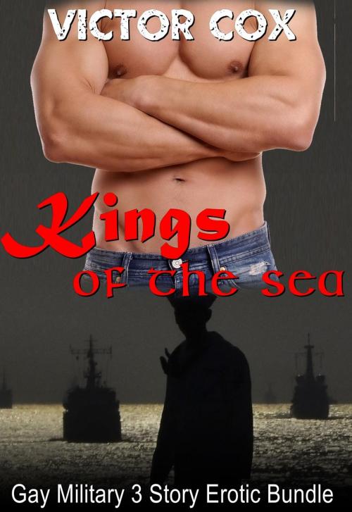 Cover of the book King of the Seas by Victor Cox, www.victorcoxbooks.com