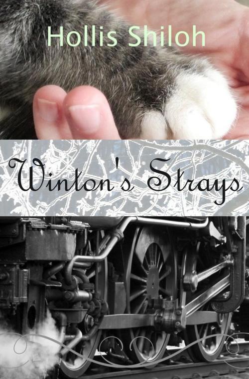 Cover of the book Winton's Strays by Hollis Shiloh, Spare Words Press