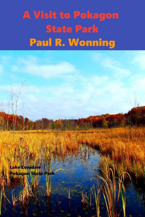 Cover of the book A Visit to Pokagon State Park by Paul R. Wonning, Mossy Feet Books
