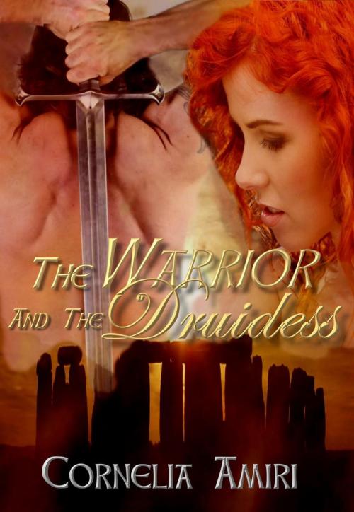 Cover of the book The Warrior and the Druidess by Cornelia Amiri, Cornelia Amiri