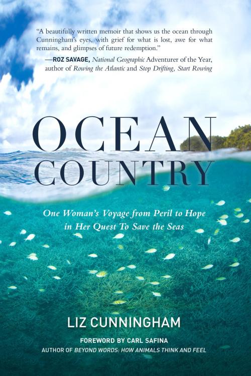 Cover of the book Ocean Country by Liz Cunningham, North Atlantic Books