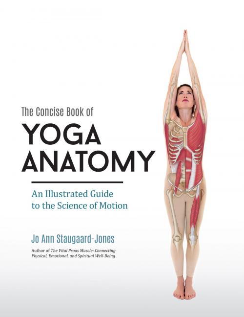 Cover of the book The Concise Book of Yoga Anatomy by Jo Ann Staugaard-Jones, North Atlantic Books