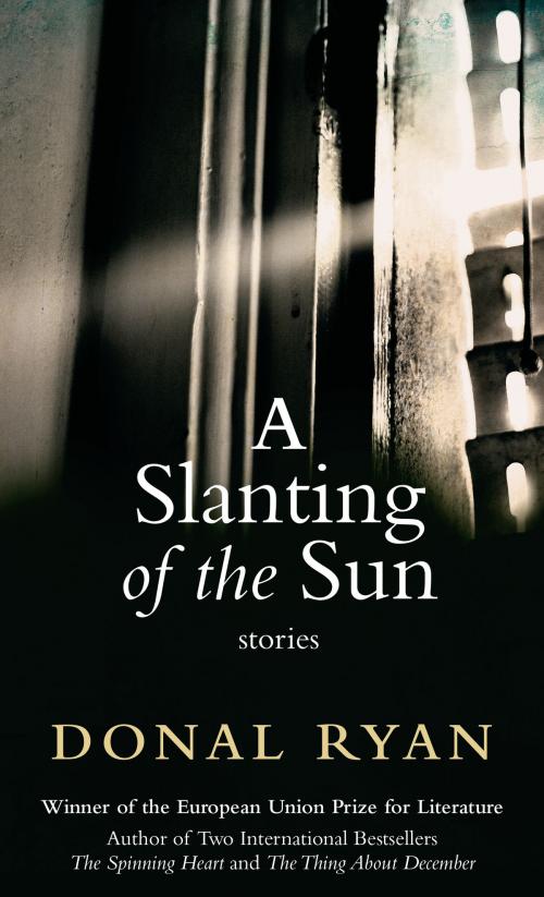 Cover of the book A Slanting of the Sun by Donal Ryan, Steerforth Press