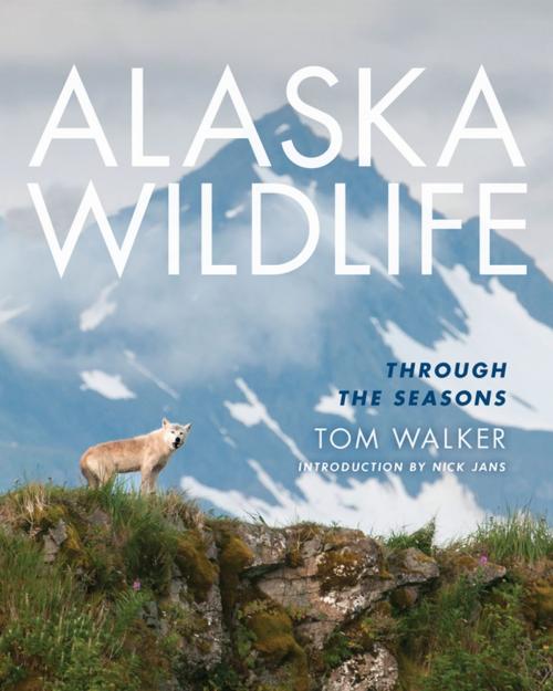 Cover of the book Alaska Wildlife by Tom Walker, Mountaineers Books