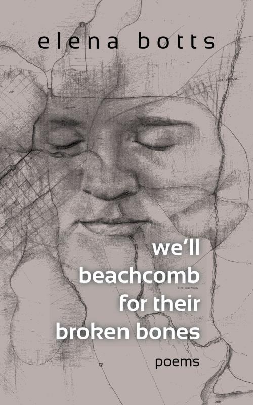 Cover of the book we'll beachcomb for their broken bones by elena botts, Coffeetown Press