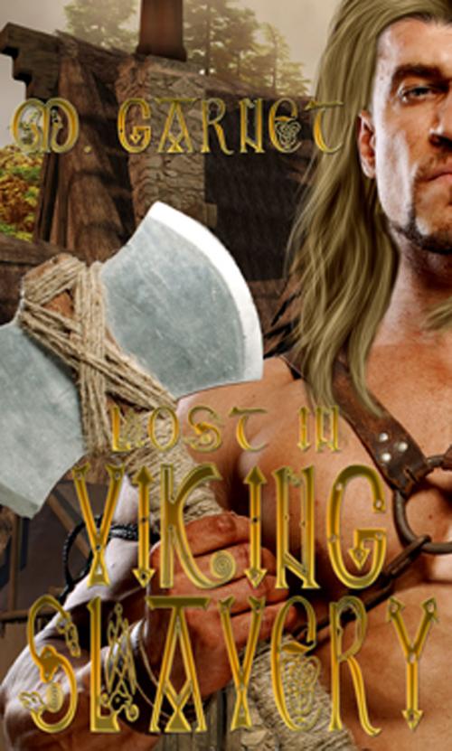 Cover of the book Lost in Viking Slavery by M. Garnet, New Concepts Publishing
