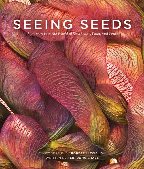 Cover of the book Seeing Seeds by Teri Dunn Chace, Robert Llewellyn, Timber Press