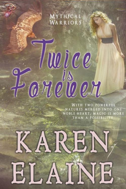 Cover of the book Twice is Forever by Karen Elaine, Resplendence Publishing, LLC