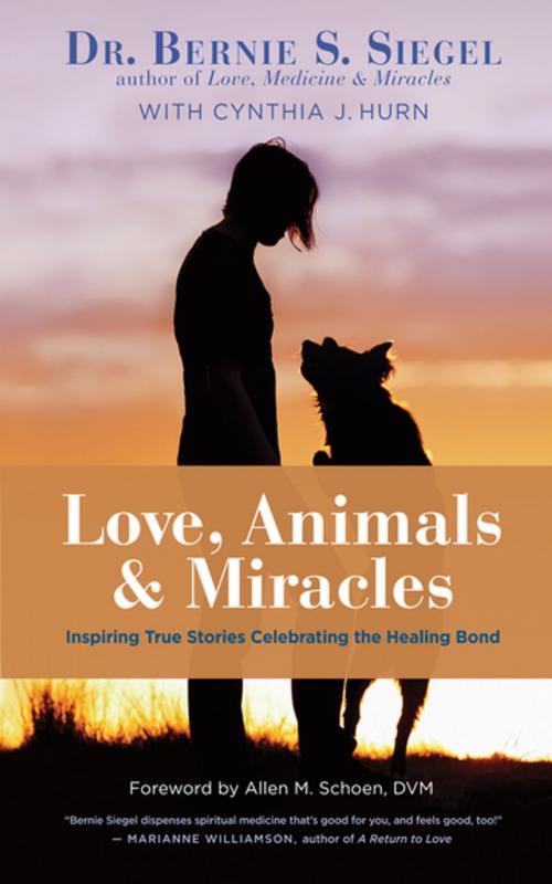 Cover of the book Love, Animals, and Miracles by Dr. Bernie S. Siegel, New World Library