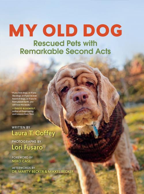 Cover of the book My Old Dog by Laura T. Coffey, Lori Fusaro, New World Library