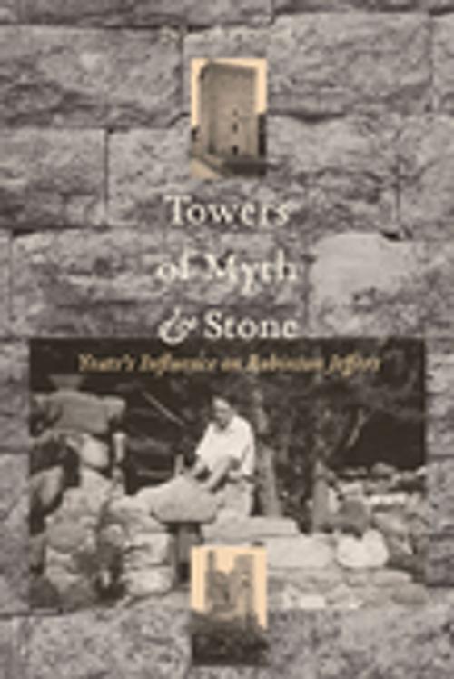 Cover of the book Towers of Myth And Stone by Deborah Fleming, University of South Carolina Press