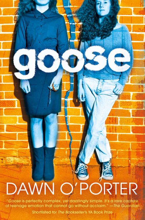 Cover of the book Goose by Dawn O'Porter, ABRAMS