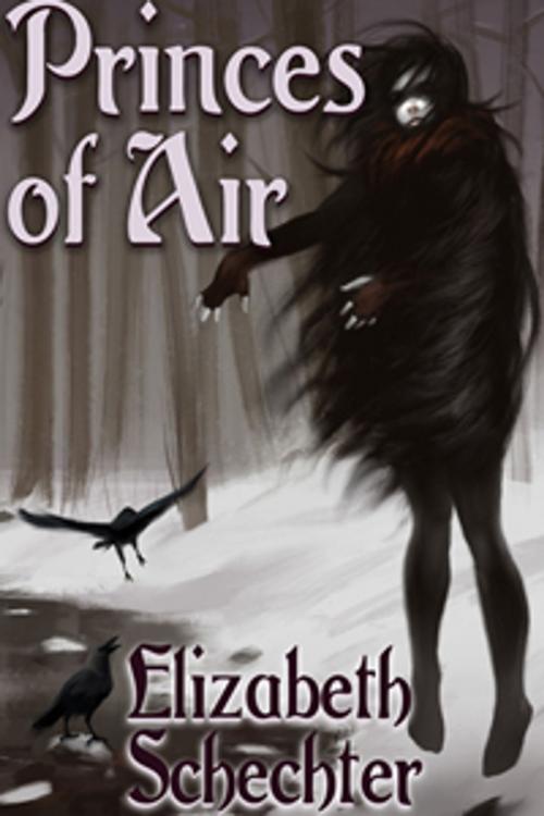 Cover of the book Princes of Air by Elizabeth Schechter, Circlet Press