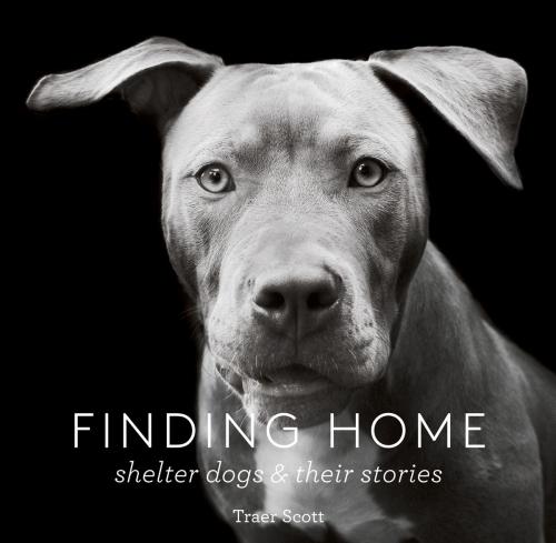 Cover of the book Finding Home by Traer Scott, Princeton Architectural Press