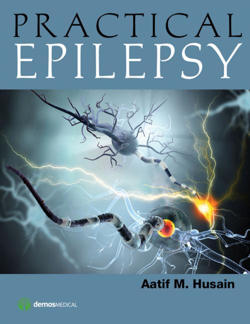 Cover of the book Practical Epilepsy by , Springer Publishing Company