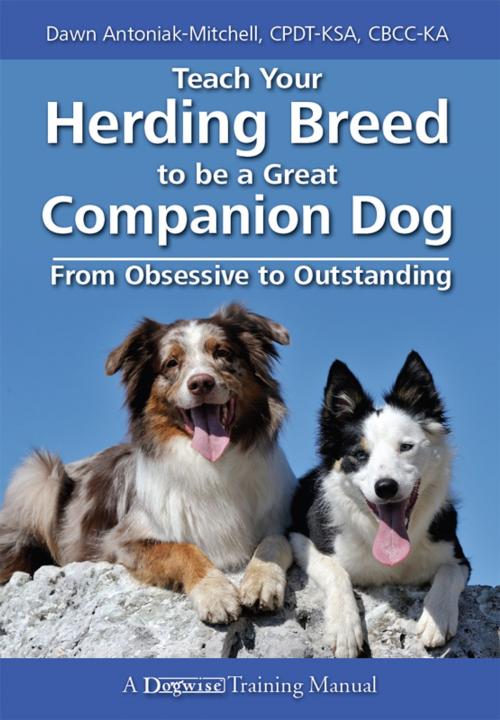Cover of the book TEACH YOUR HERDING BREED TO BE A GREAT COMPANION DOG - FROM OBSESSIVE TO OUTSTANDING by Dawn Antoniak-Mitchell, Dogwise Publishing