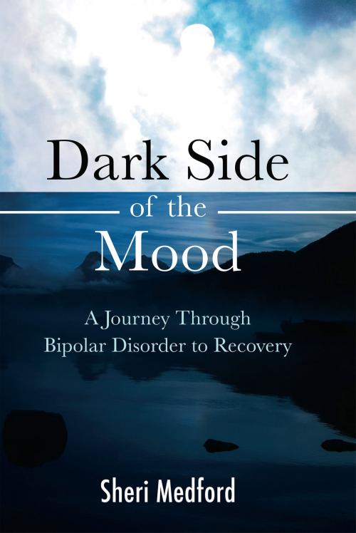Cover of the book Dark Side of the Mood by Sheri Medford, Bahai Publishing