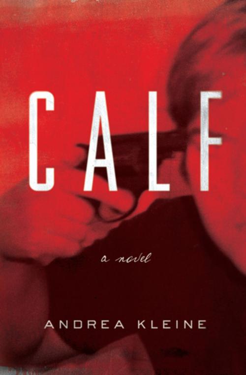 Cover of the book Calf by Andrea Kleine, Counterpoint Press
