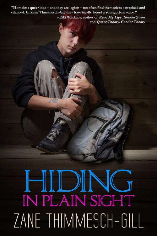 Cover of the book Hiding in Plain Sight by Zane Thimmesch-Gill, Riverdale Avenue Books LLC