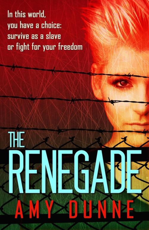 Cover of the book The Renegade by Amy Dunne, Bold Strokes Books, Inc.