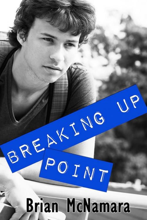 Cover of the book Breaking Up Point by Brian McNamara, Bold Strokes Books, Inc.