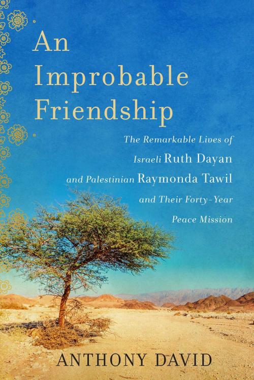 Cover of the book An Improbable Friendship by Anthony David, Arcade