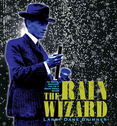 Cover of the book The Rain Wizard by Larry Dane Brimner, Boyds Mills Press