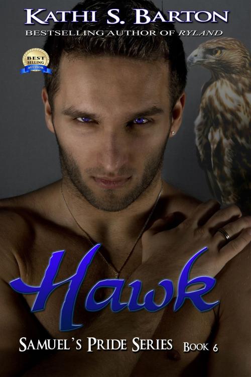 Cover of the book Hawk by Kathi S Barton, World Castle Publishing, LLC