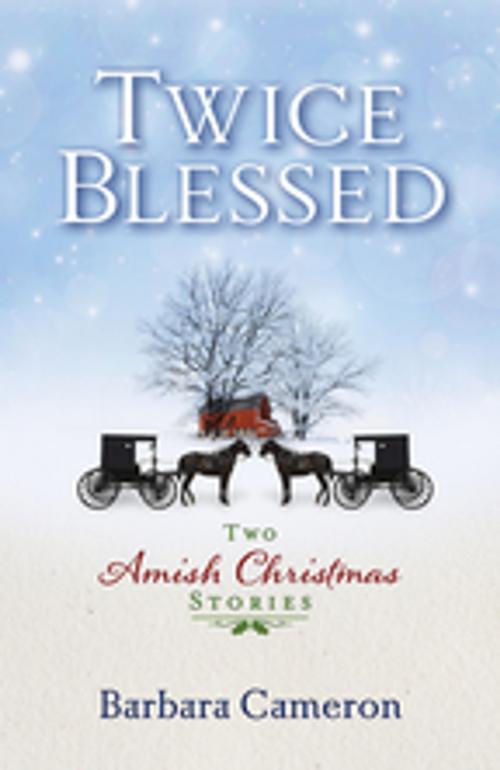 Cover of the book Twice Blessed by Barbara Cameron, Abingdon Press