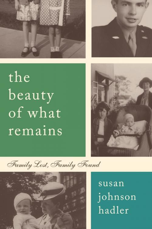 Cover of the book The Beauty of What Remains by Susan Hadler, She Writes Press