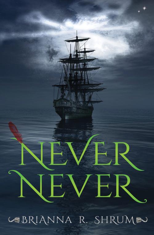 Cover of the book Never Never by Brianna Shrum, Spencer Hill Press