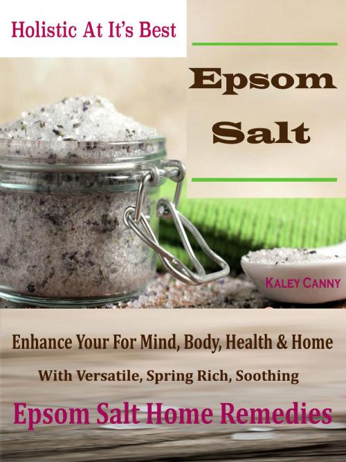 Cover of the book Holistic At It’s Best Epsom-Salt by Kaley Canny, Dhimant N Parekh