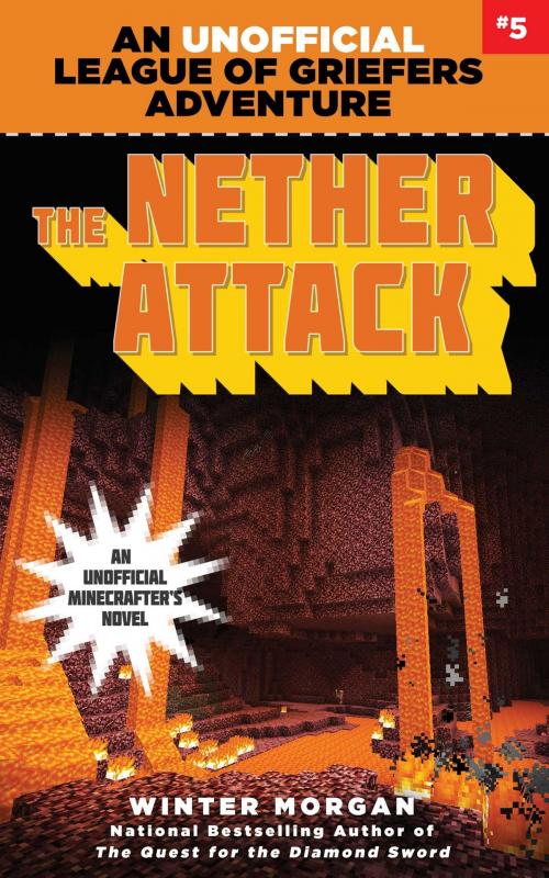 Cover of the book The Nether Attack by Winter Morgan, Sky Pony