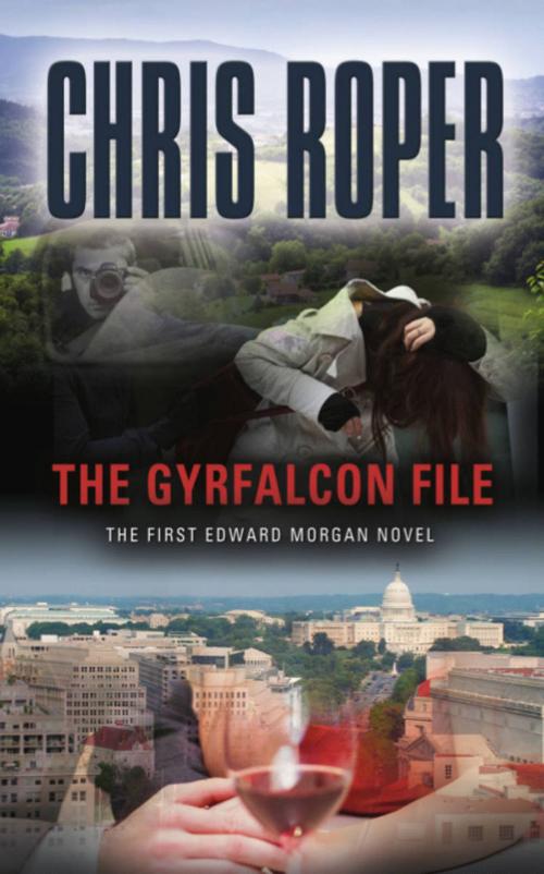 Cover of the book The Gyrfalcon File by Chris Roper, BookLocker.com, Inc.