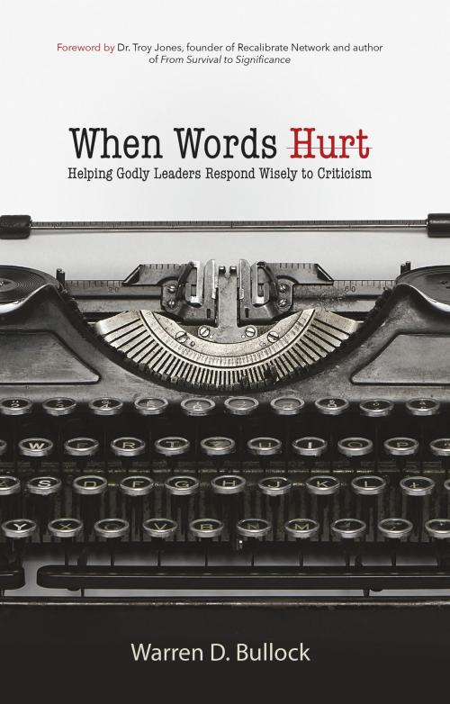 Cover of the book When Words Hurt by Warren Bullock, Salubris Resources
