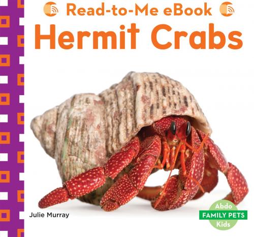 Cover of the book Hermit Crabs by Julie Murray, ABDO
