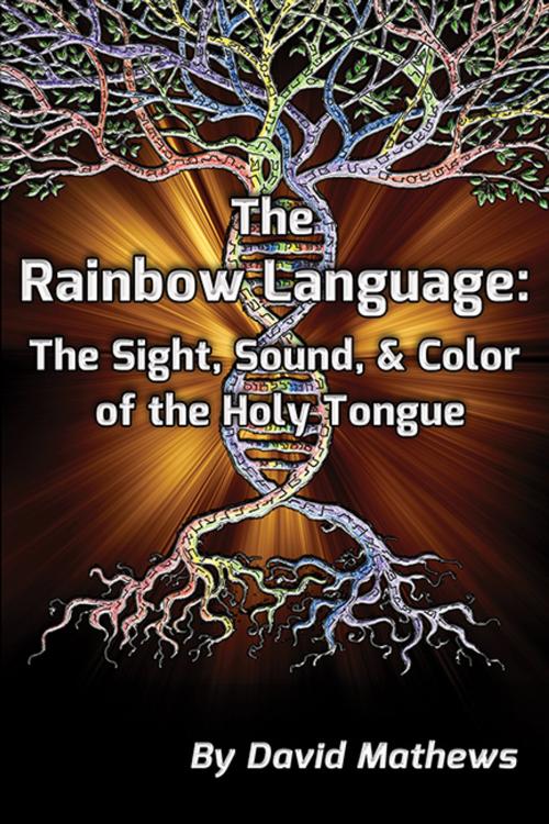 Cover of the book The Rainbow Language by David Mathews, CCB Publishing
