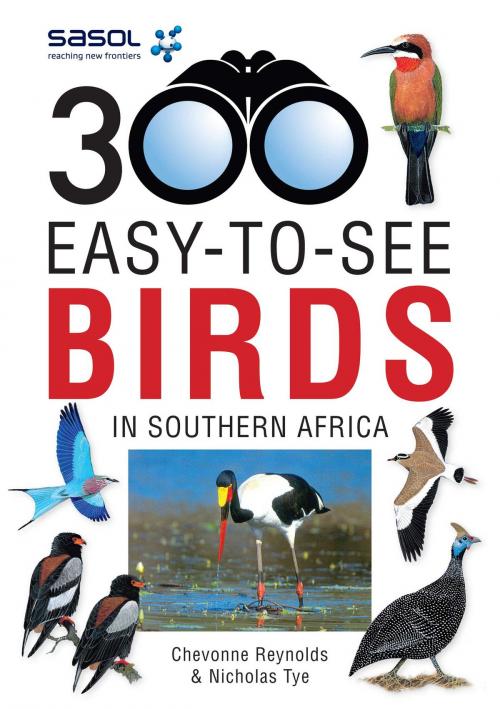 Cover of the book Sasol 300 easy-to-see Birds in Southern Africa by Chevonne Reynolds, Penguin Random House South Africa
