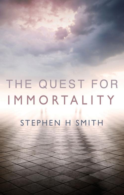 Cover of the book The Quest For Immortality by Stephen H. Smith, Troubador Publishing Ltd