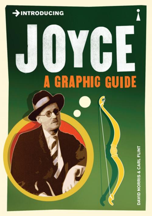 Cover of the book Introducing Joyce by David Norris, Icon Books Ltd