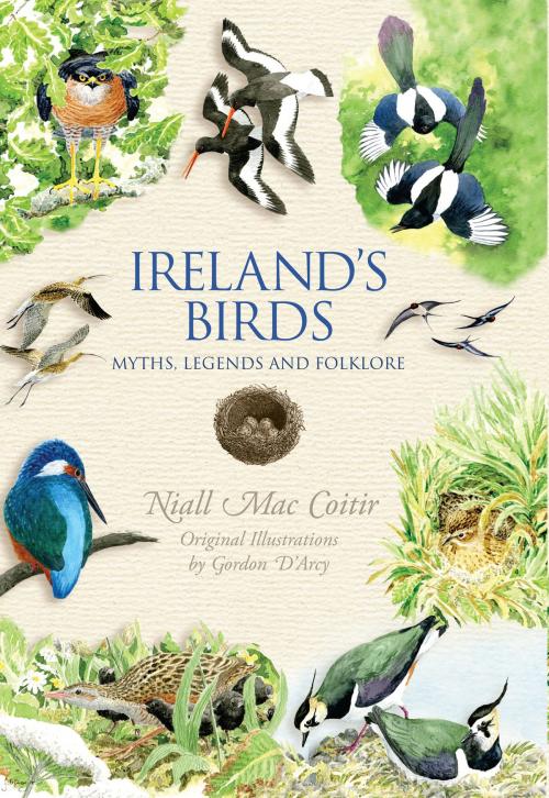 Cover of the book Ireland's Birds – Myths, Legends & Folklore by Niall Mac Coitir, The Collins Press