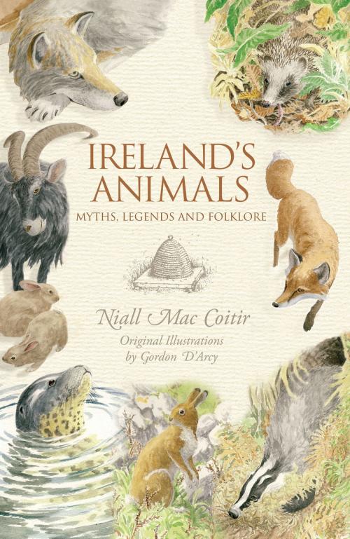 Cover of the book Ireland's Animals: Myths, Legends & Folklore by Niall Mac Coitir, The Collins Press